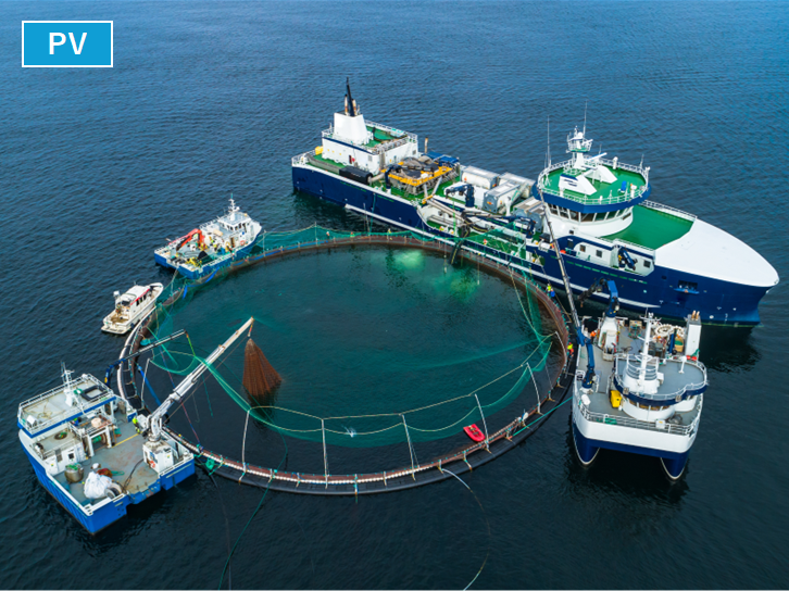 持続可能なタンパク質